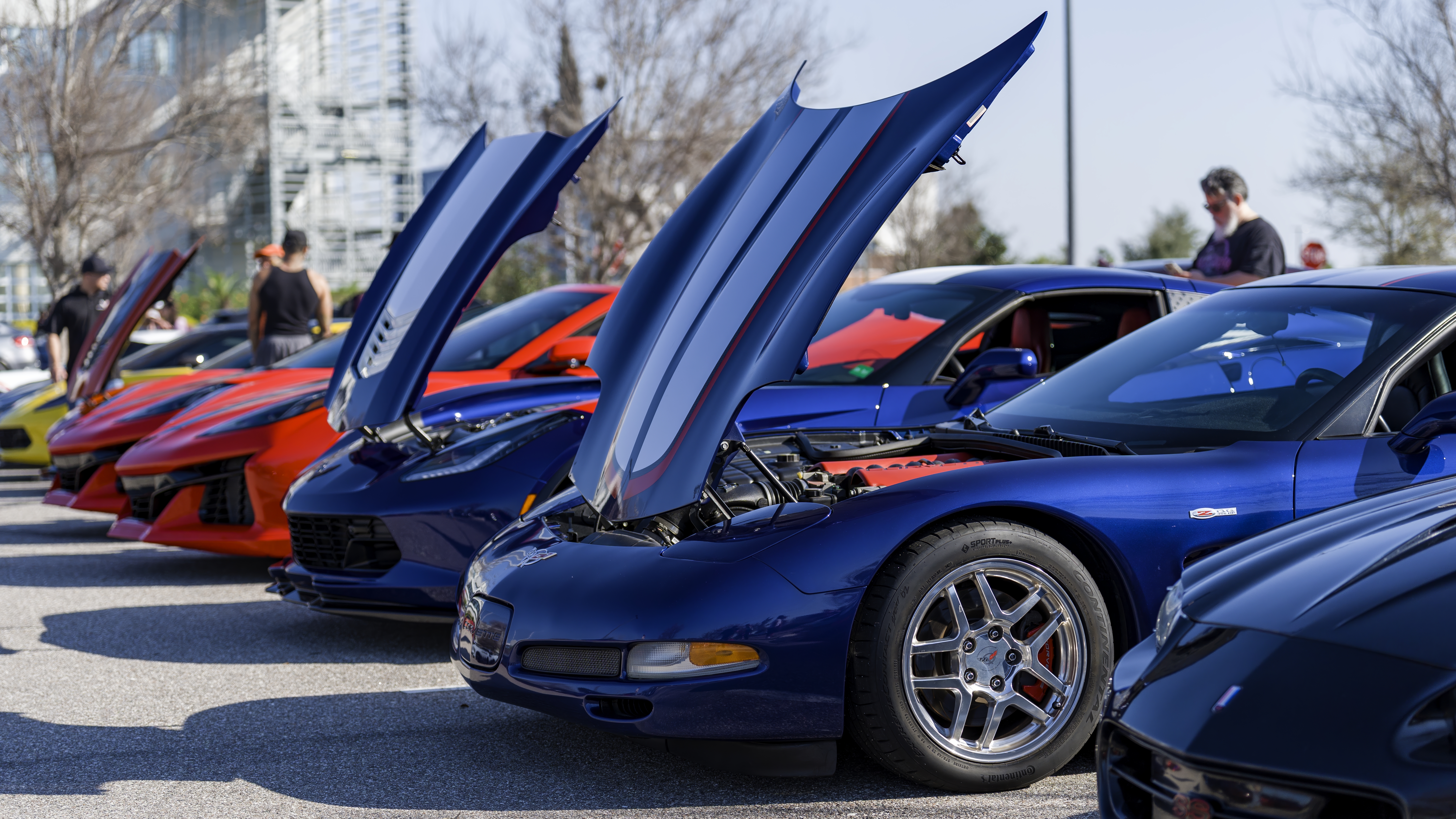 Lineup of European sports cars at a private shoot